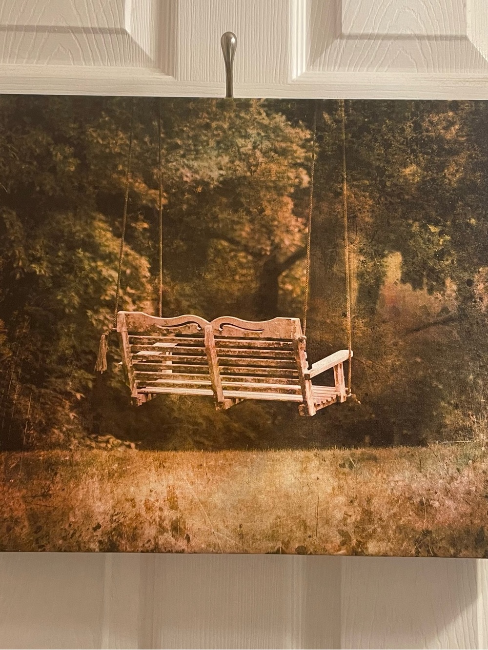 The Swing, 19in. X 13in. Canvas Art Print by Jai Johnson